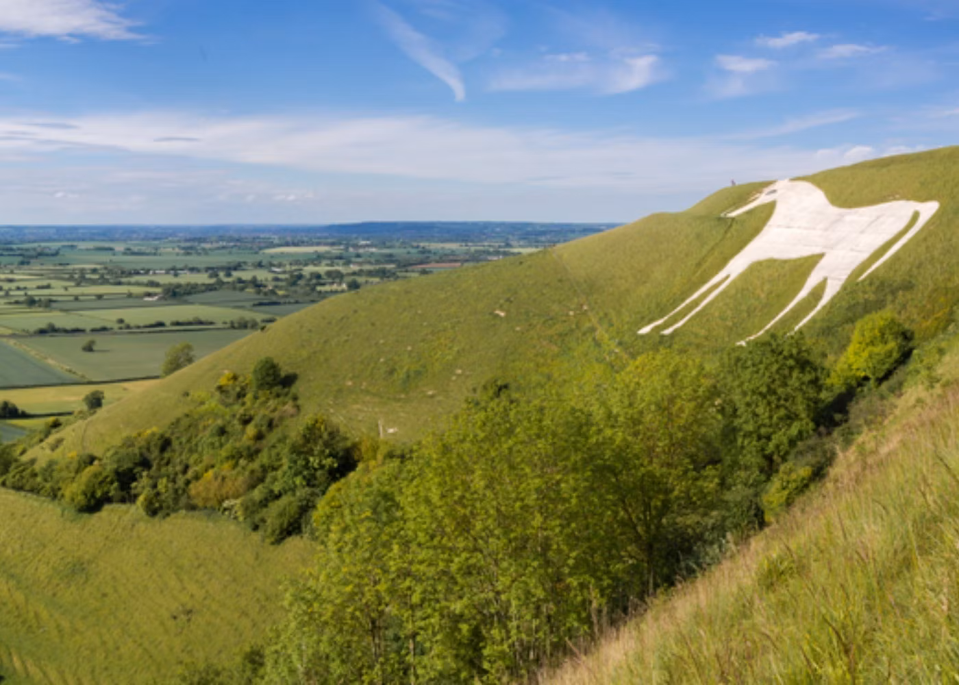 Estate Agents and Letting Agents in Westbury