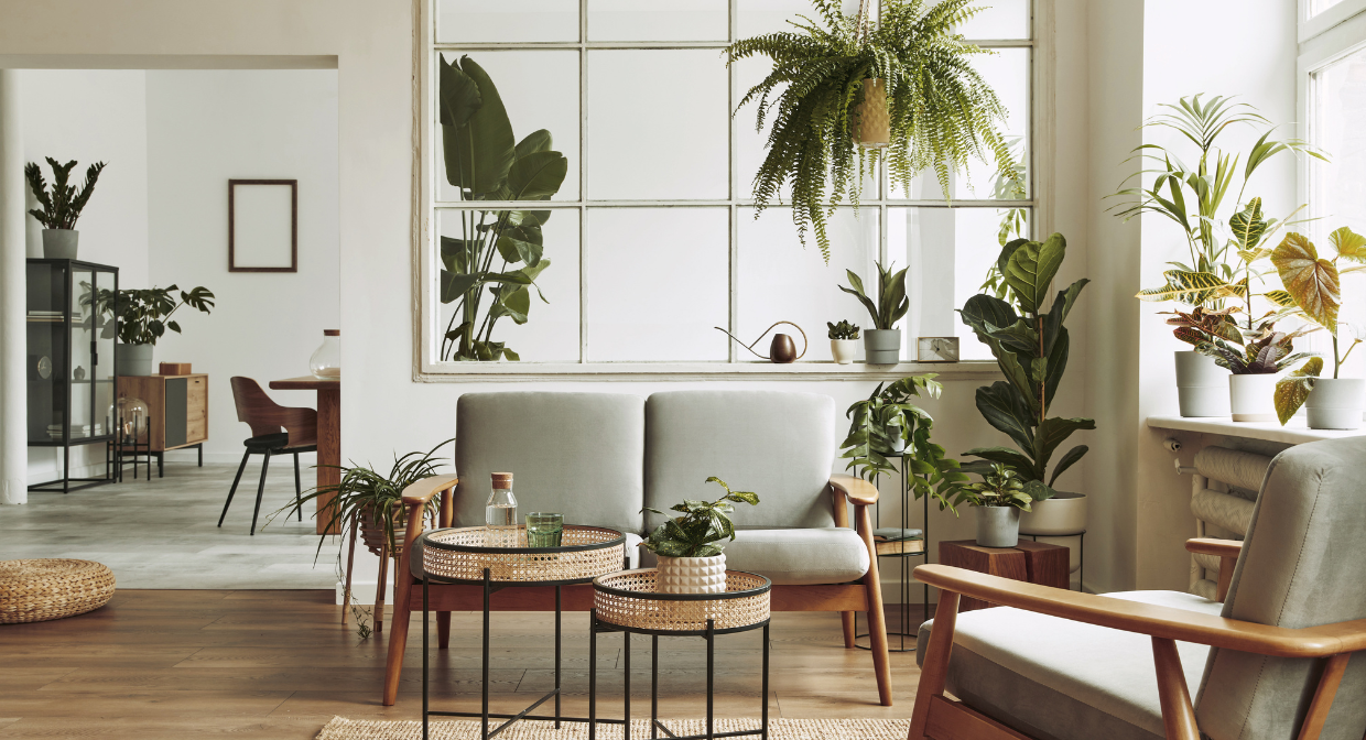 Modern living room filled with natural light and greenery, representing Martin & Co’s 2025 autumn home selling insights and seasonal property advice.