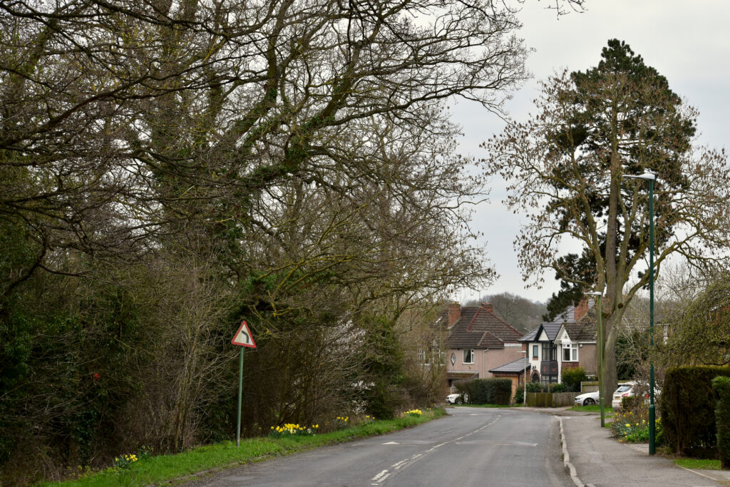 Residential street in Solihull B91 near town centre