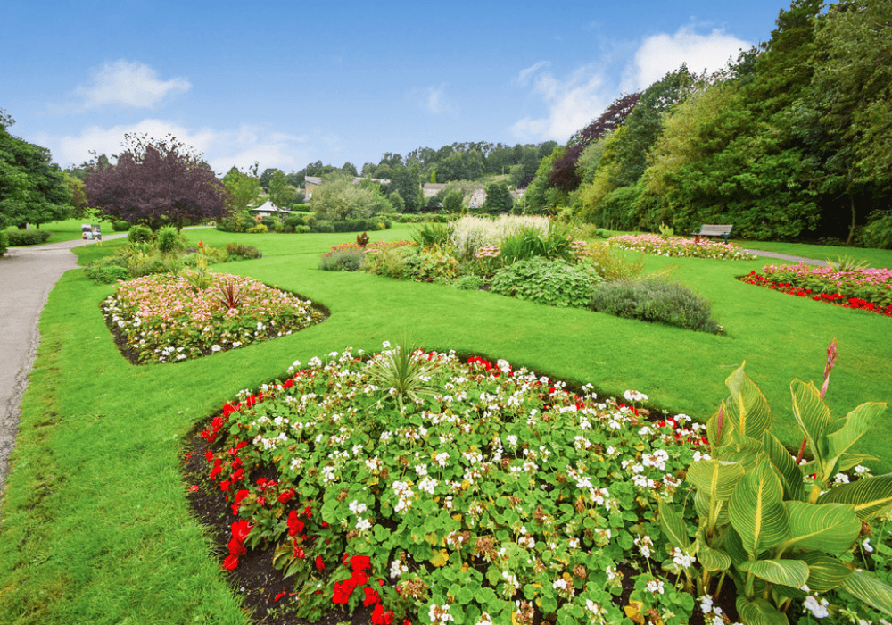 Haworth - Park - Marketing & Co Estate Agents